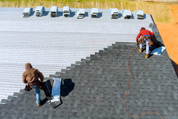 Best Roof Waterproofing Services  in La Huerta, NM