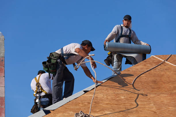 Best Roof Leak Repair  in La Huerta, NM