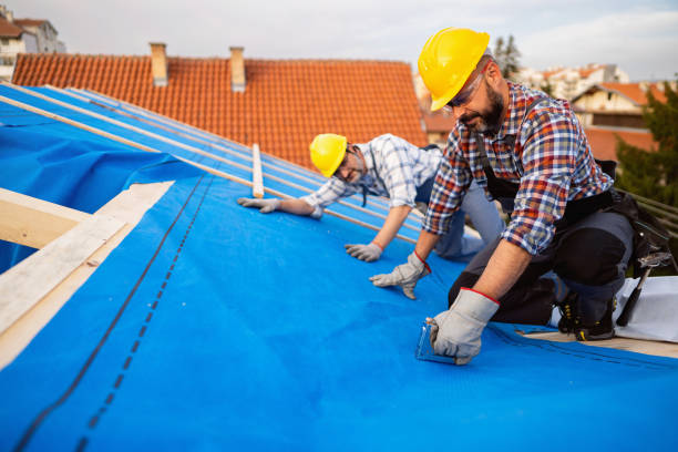 Best Flat Roof Repair Services  in La Huerta, NM
