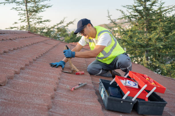 Best Commercial Roofing Services  in La Huerta, NM