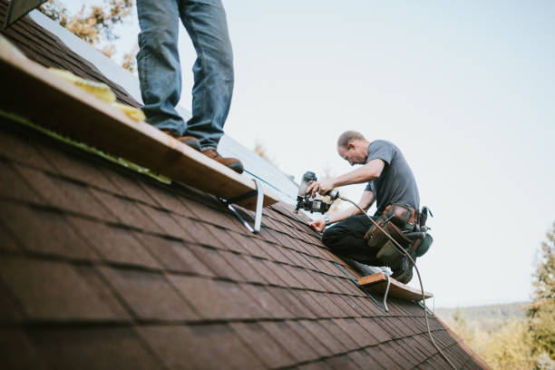 Best Roof Repair Services  in La Huerta, NM