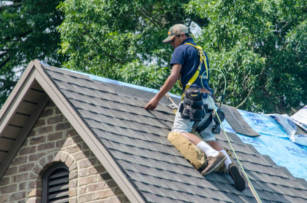 Quick and Trustworthy Emergency Roof Repair Services in La Huerta, NM